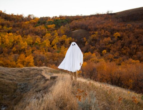 Il fantasma nel lutto
