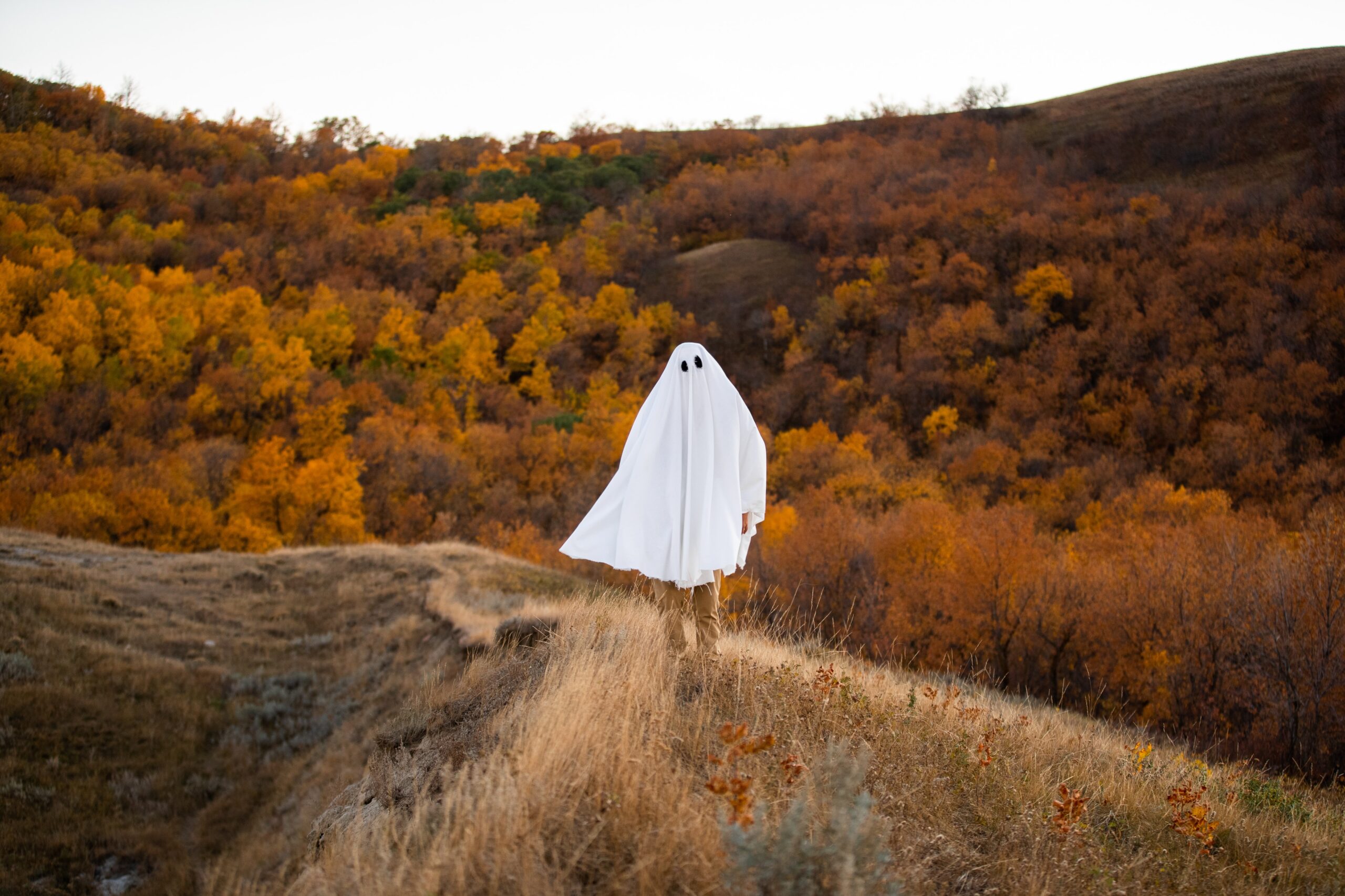il fantasma nel lutto dottoressa adele toffano psicologa spinea silea